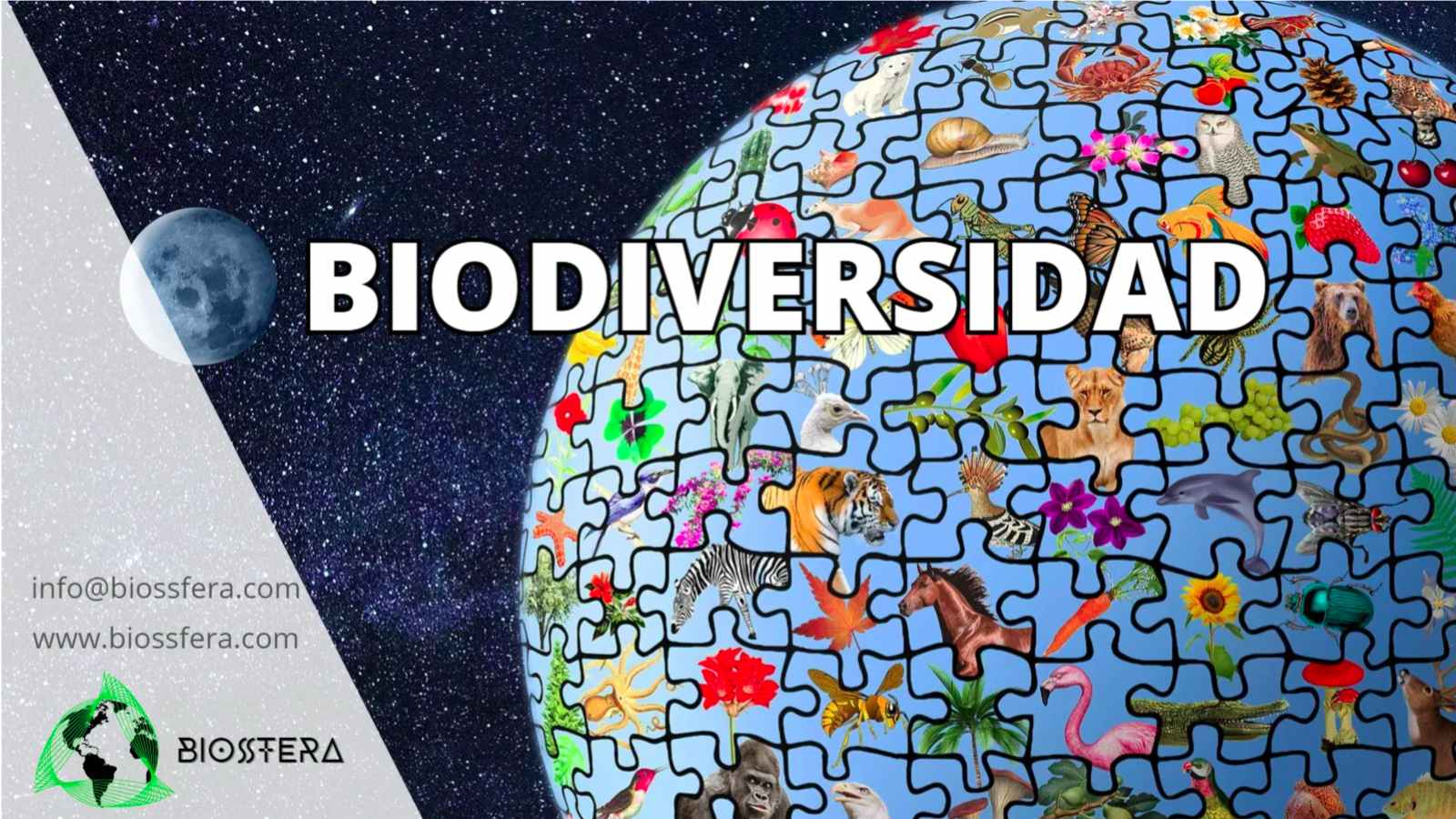 Biodiversidad