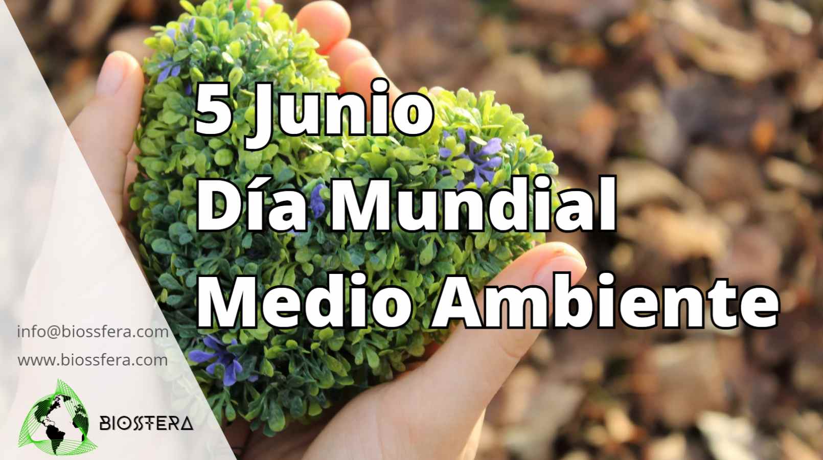 Día Mundial del Medio Ambiente