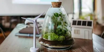 Mesa de madera sobre la que aparece un molino de viento y una cápsula de cristal que contiene árboles